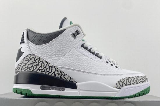 Air Jordan 3 SE Oregon