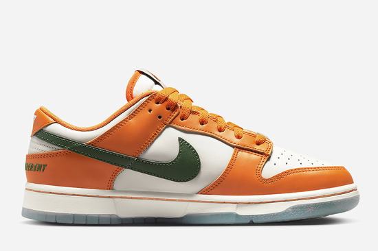 Florida A M x Dunk SB Low