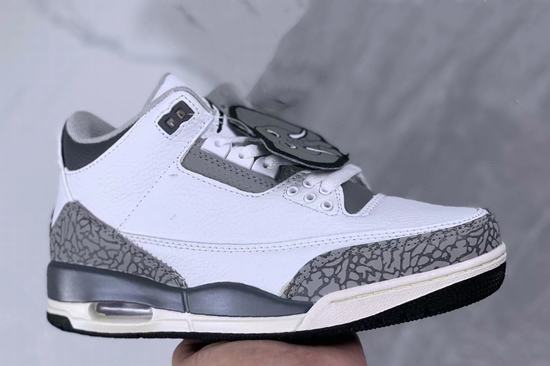 Air Jordan 3 Retro Hide and Sneak