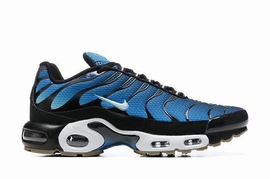 Air Max Plus TN Blue Black