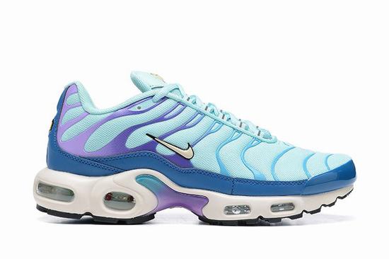 Air Max Plus TN Blue Purple