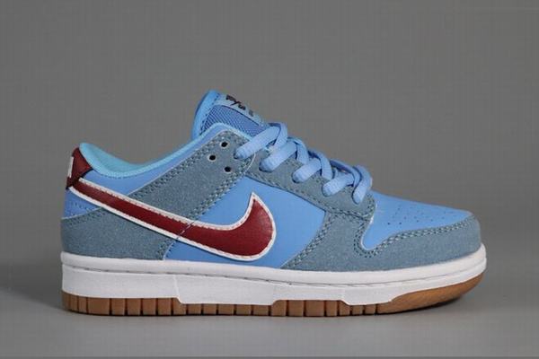 Dunk SB Low Kids Blue Brown